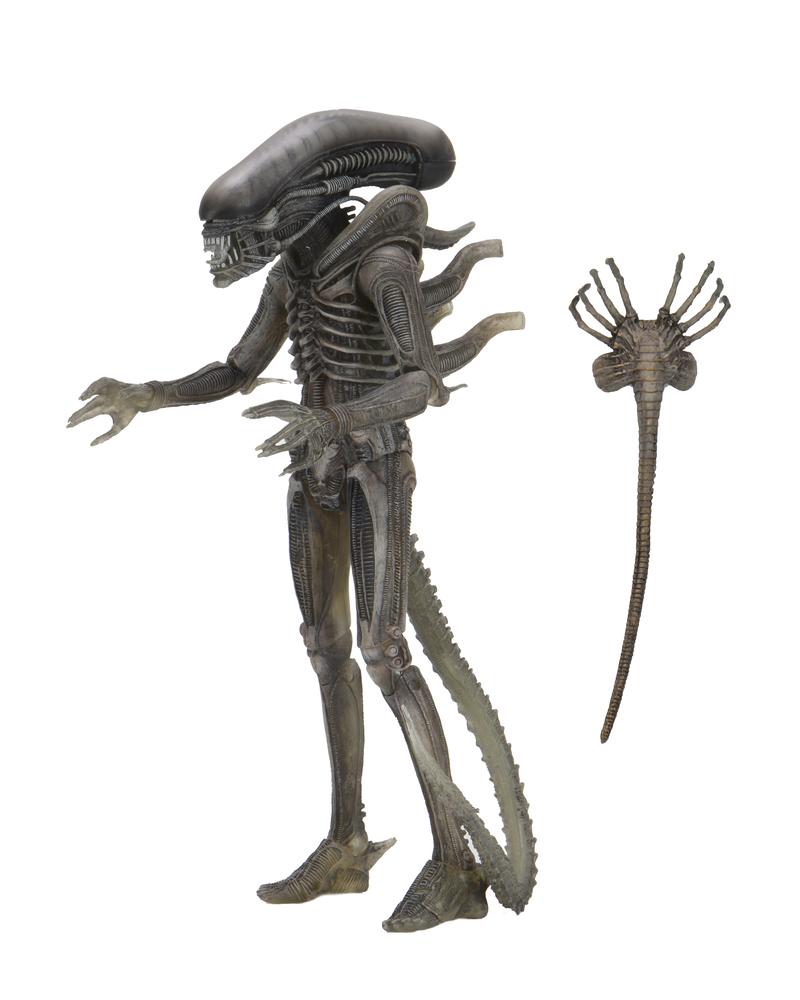 The Alien Giger Facehugger Exclusive (Horror/Alien) Time to collect